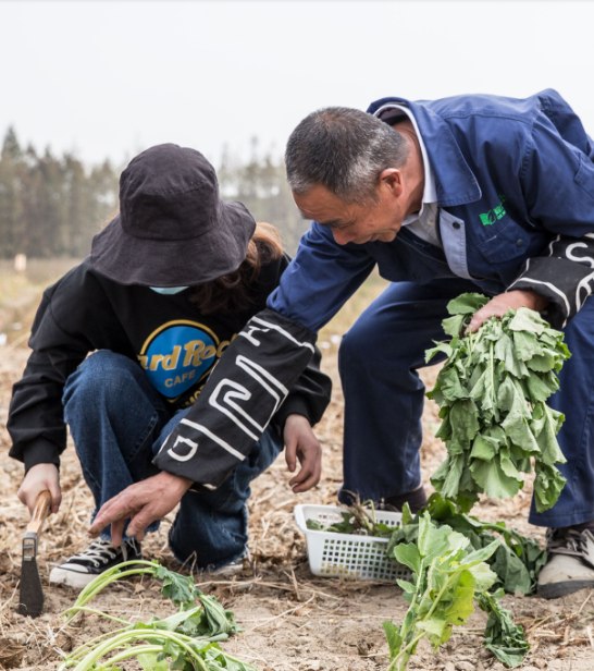 QQ圖片20201201162100.png QQ圖片20201201162100.png