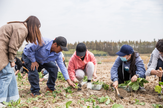 QQ圖片20201201162119.png QQ圖片20201201162119.png