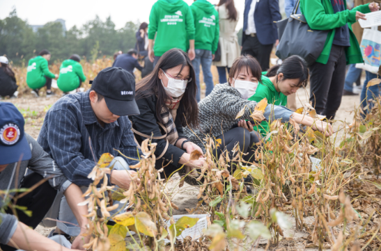 QQ圖片20201201162130.png QQ圖片20201201162130.png