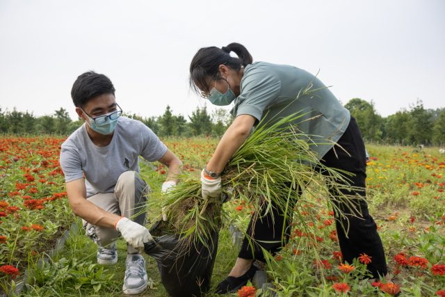 IMG_2185.jpg IMG_2185.jpg