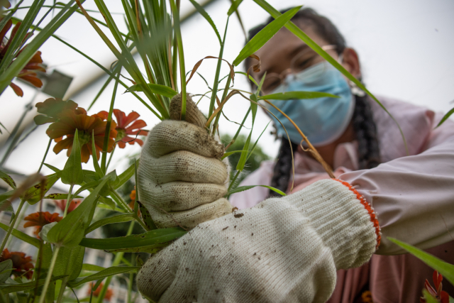 IMG_2324.jpg IMG_2324.jpg