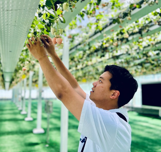 傅昊韋創新技術優化草莓種植 學校供圖.jpg