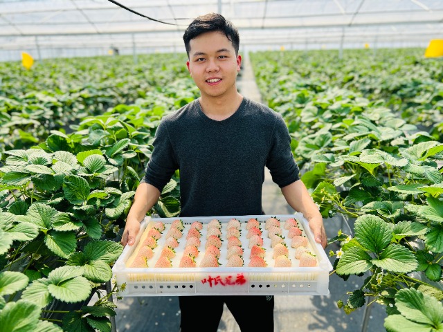 傅昊韋展示優質草莓 學校供圖.jpg